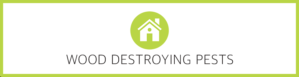 Wood Destroying Pests - OnlinePestControlCourses